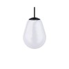 CAMELEON PEAR S 10331 Nowodvorski