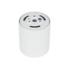 BLAZE CCT white 18157 TK Lighting