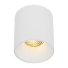 BLAZE CCT white 18157 TK Lighting