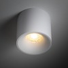 BLAZE CCT white 18161 TK Lighting