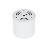 BLAZE CCT white 18161 TK Lighting