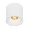 BLAZE CCT white 18161 TK Lighting