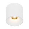 BLAZE CCT white 18161 TK Lighting