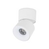 SPARK CCT white 18168 TK Lighting