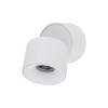 SPARK CCT white 18168 TK Lighting