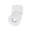 SPARK CCT white 18168 TK Lighting