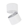 SPARK CCT white 18168 TK Lighting