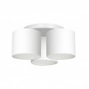 ARDEN white III 3424 Luminex