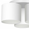 ARDEN white III 3424 Luminex