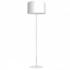 ARDEN white 3434 Luminex