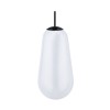 CAMELEON PEAR L 10328 Nowodvorski