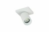 CROSTI LACCE SQ 455354 Oxyled