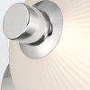 PALMAS nickel QN-PALMAS-2W-PN Quintiesse