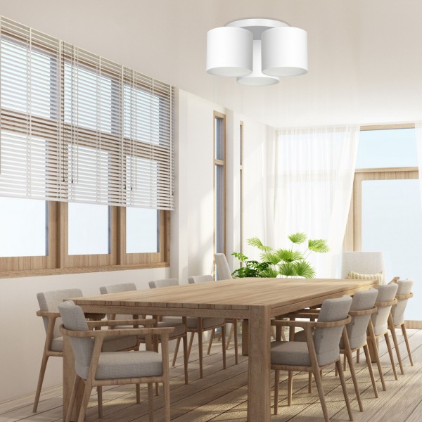ARDEN white III 3424 Luminex