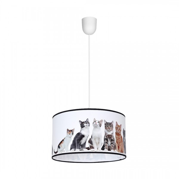 CATS MLP4281 Milagro