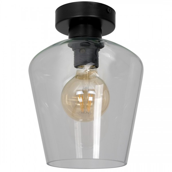  SANTIAGO CLEAR I MLP6602 Milagro