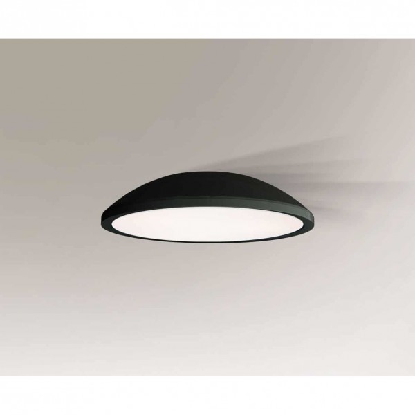 WANTO black 1162 Shilo