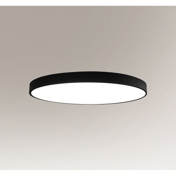NUNGO 80 3000K 6004 Shilo