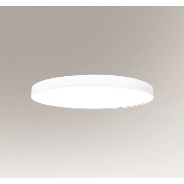 NUNGO 80 3000K 6005 Shilo