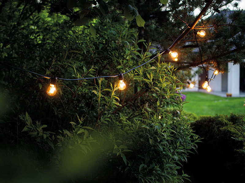 Rodzina lamp Festoon - Nowodvorski